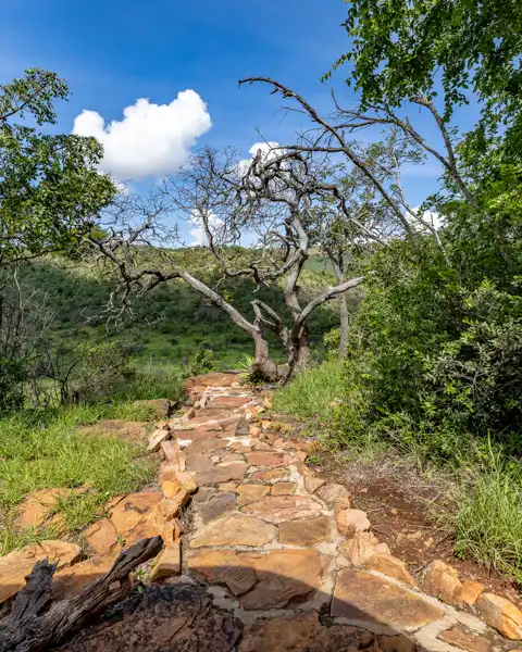 Iketla Lodge | Ohrigstad, Limpopo