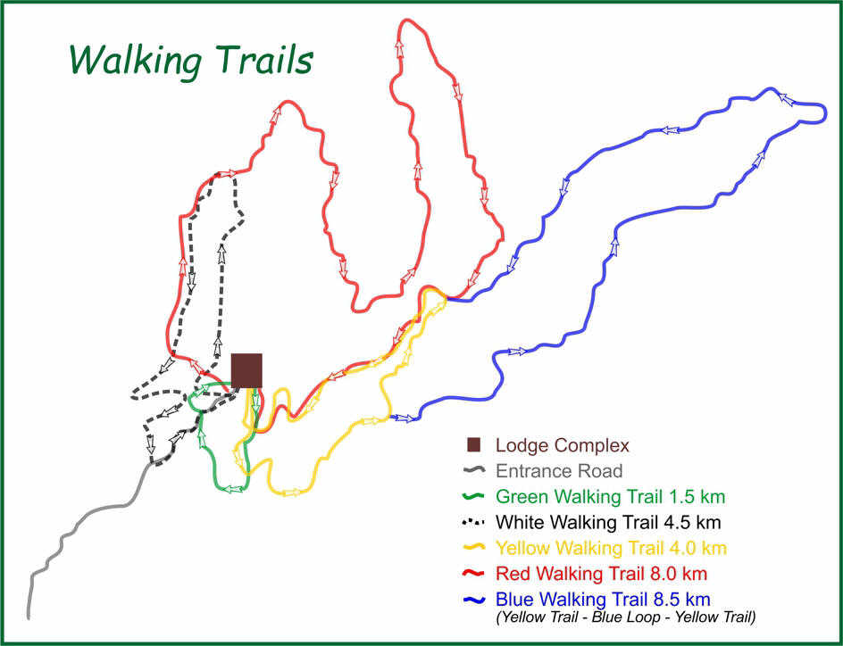 Iketla Lodge - Walking Trails